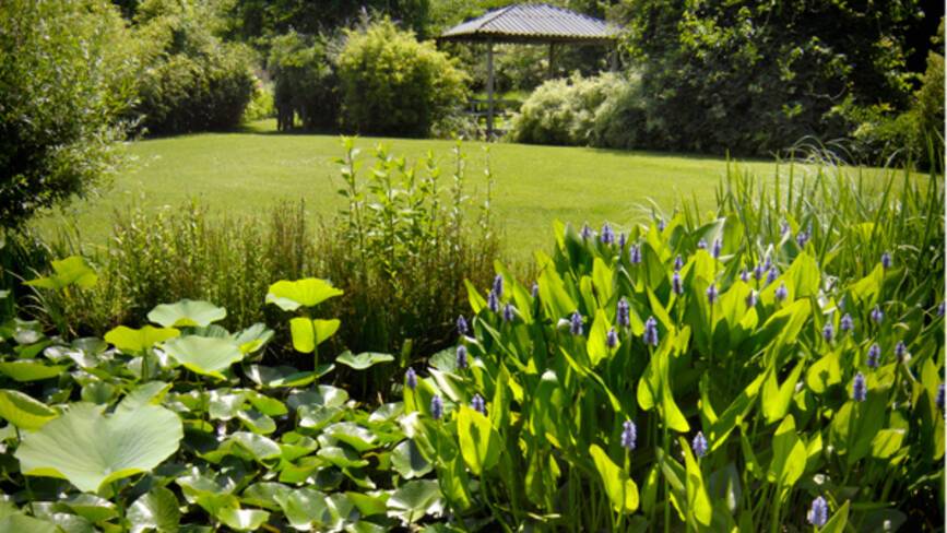 Jardin des Martels, Giroussens - Tarn