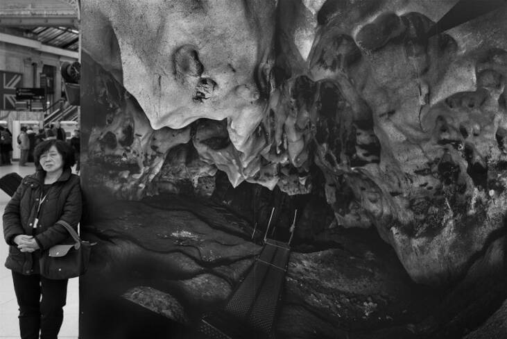 Dallaporta exposition 2016 Grotte-Chauvet à la gare du nord