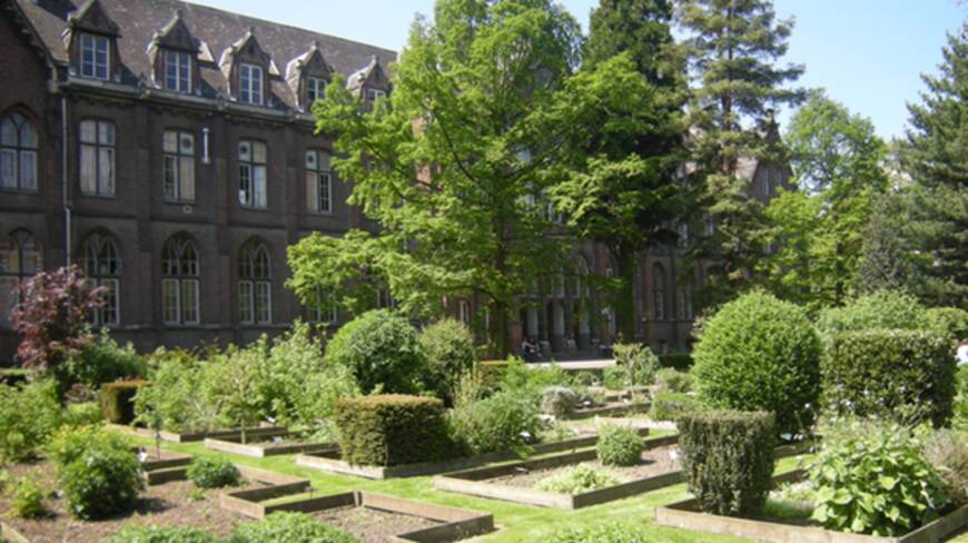 Jardin structuré au premier plan, université catholique de Lille au second