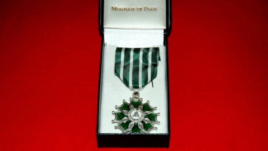 Médaille de Chevalier de l'ordre des Arts et des Lettres