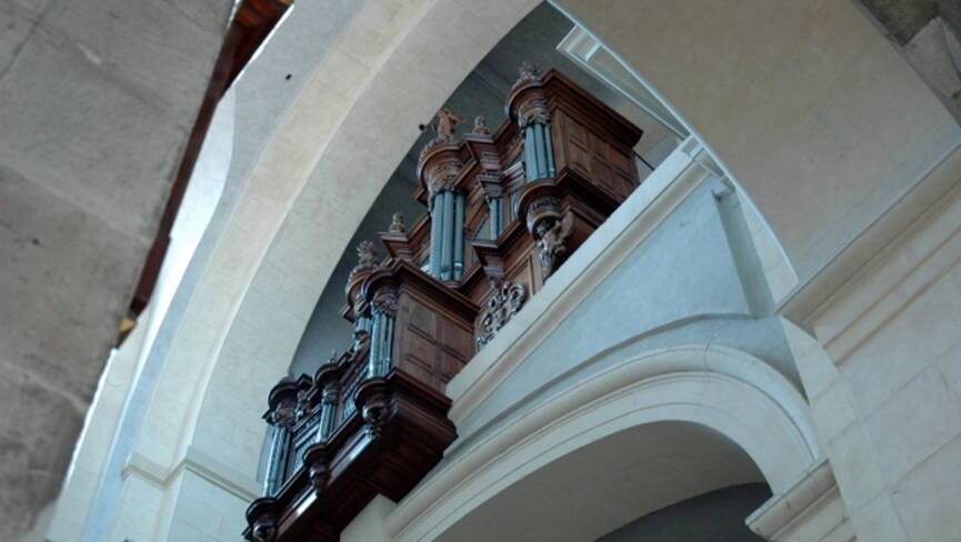 Visite de la cathédrale
