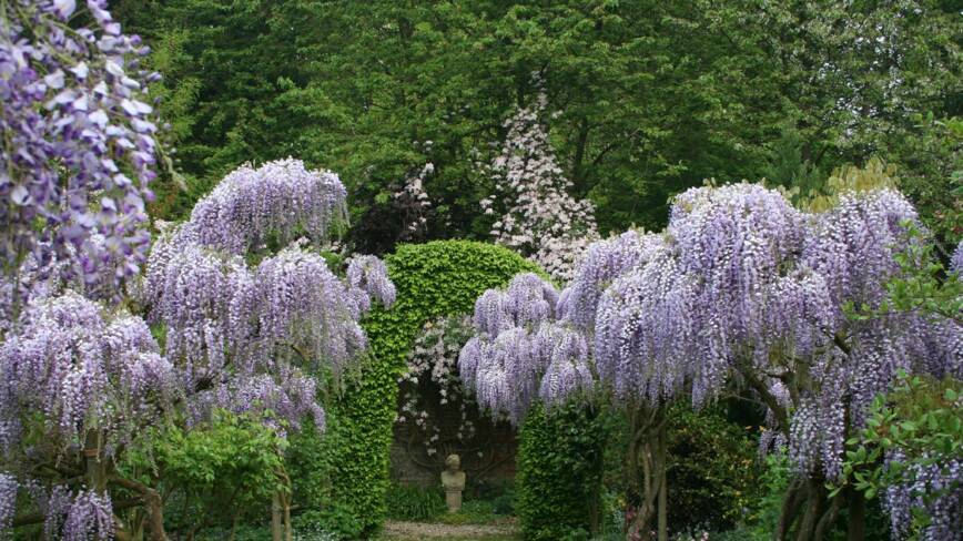 Jardin floral du château de digeon, Morvillers Saint-Saturnin (Somme)
