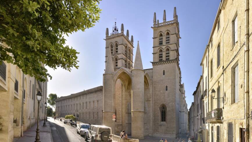 Cathédrale Saint-Pierre-et-Saint-Paul. Montpellier (34)