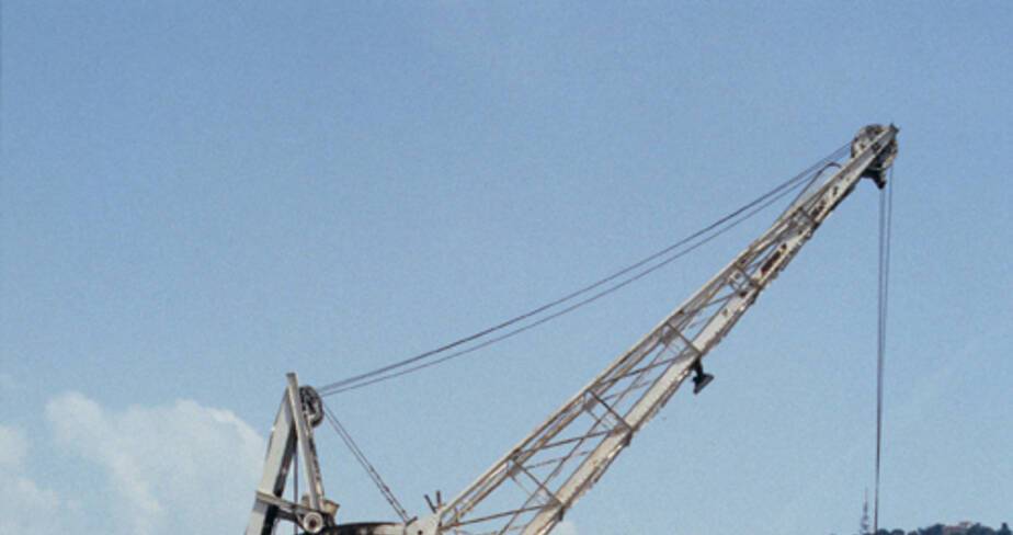 Grue Applevage n° 14 du Port Lympia - Nice