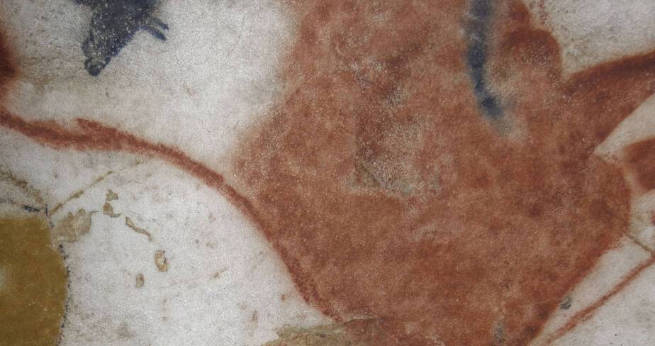 Voûte de l’entrée du Diverticule axial