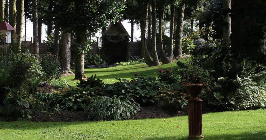 Jardin dans la pénombre