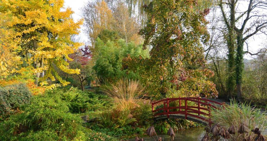 Pont japonais au dessus d'un cours d'eau