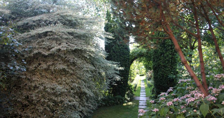 Allée de jardin