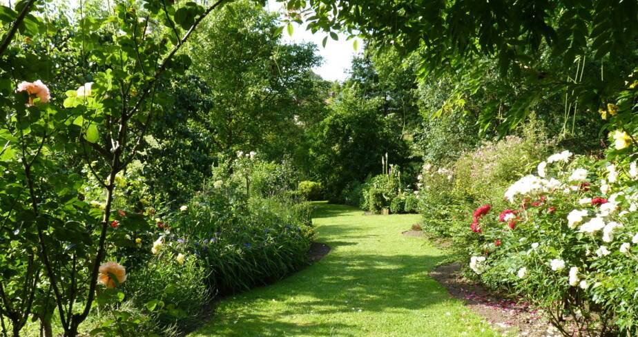 Allée de jardin