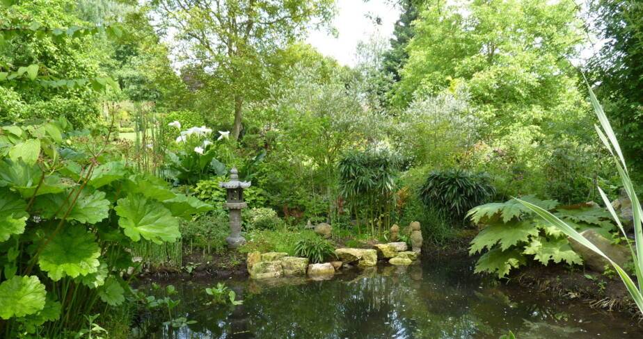 Pièce d'eau et lanterne japonaise