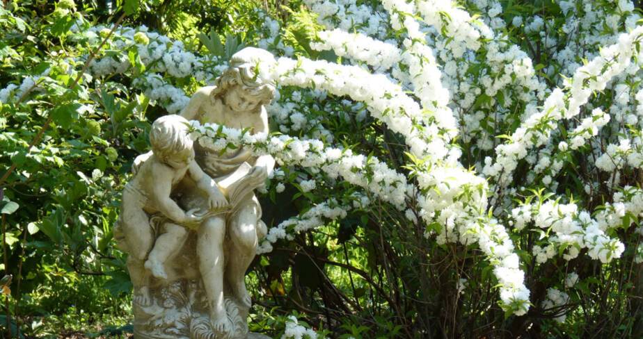 Statues d'enfants et fleurs blanches