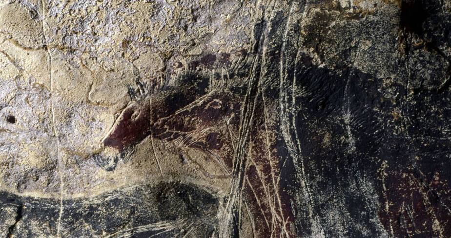 Détail d’un cheval de la Frise des chevaux à l’arrière de la Vache noire