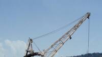 Grue Applevage n° 14 du Port Lympia - Nice
