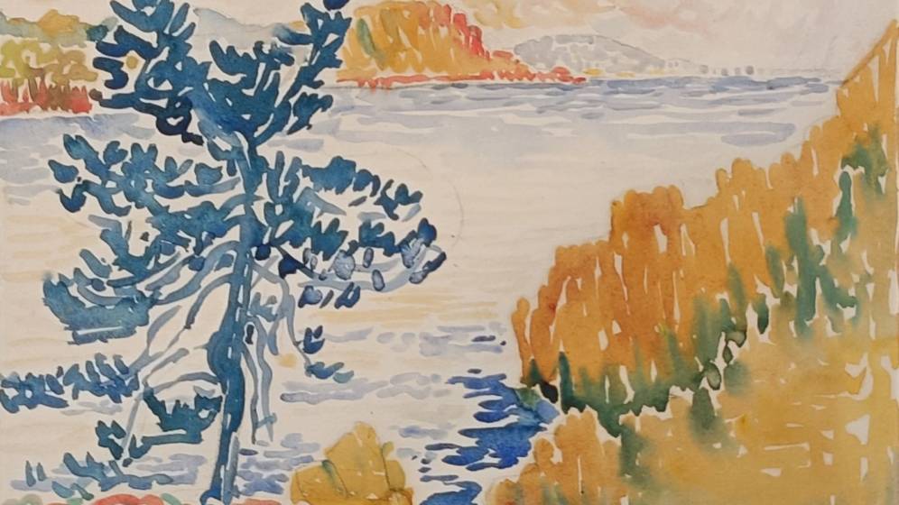 Paysage marin très coloré, vue de la Méditerranée en surplomb avec un grand arbre bleu et de la végétation jaune et orangée