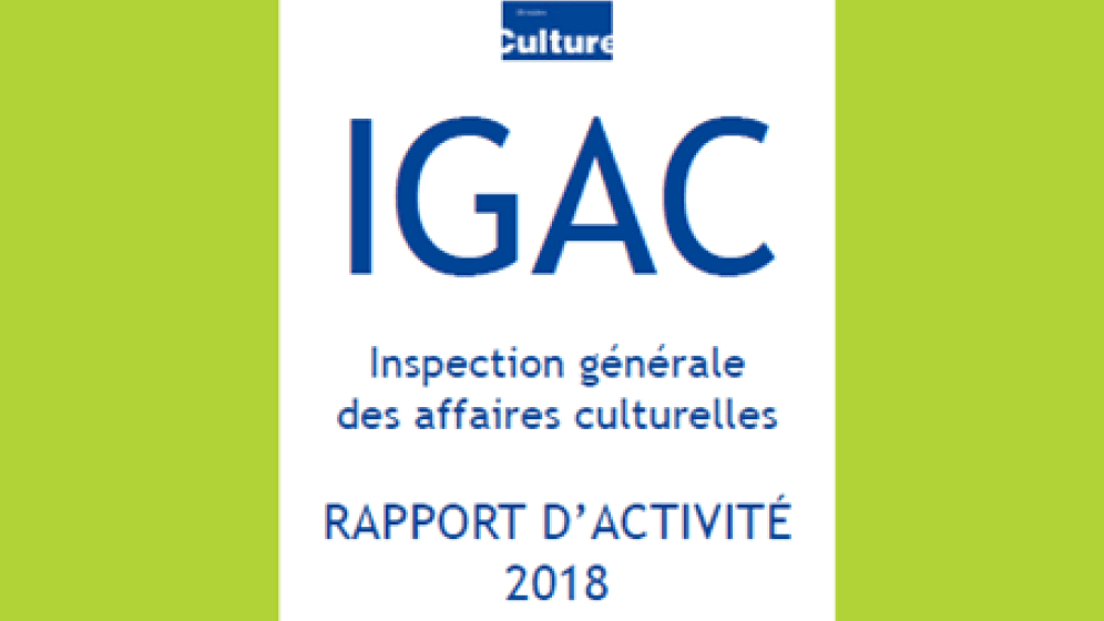 Rapport d'activité 2018 de l'IGAC.png