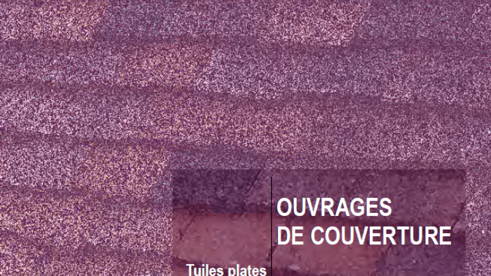 GuideMoaMoe_Couverture_TuilesPlates_20110801.png