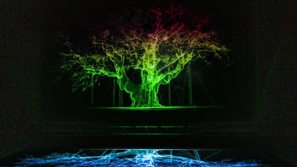 photo d'une projection sur un mur de la forme d'un arbre vert sur fond noir