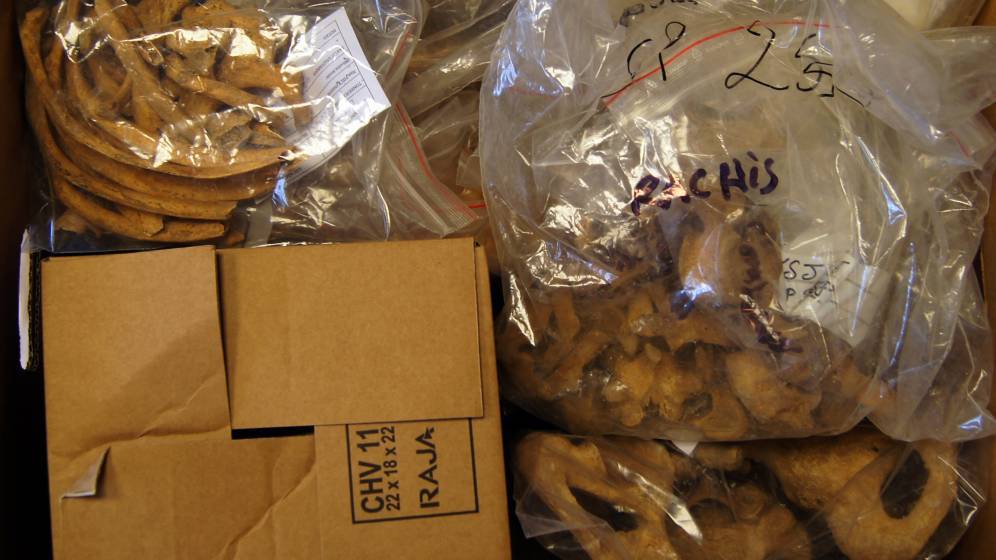 Des os sont classés dans des sachets plastiques numérotés. Une boîte en carton va les accueillir.