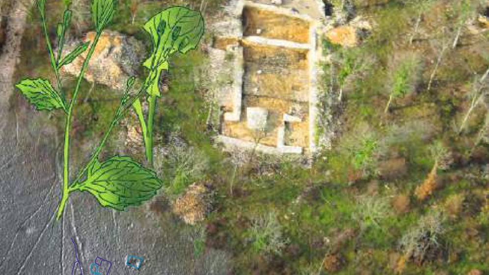 Brochure archéologie DRAC BFC_St Martin n°15_page-0001.jpg