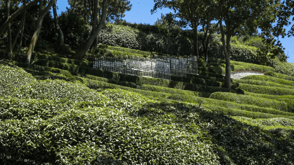 les jardins d'Etretat résidence artistes héritage érodé.png