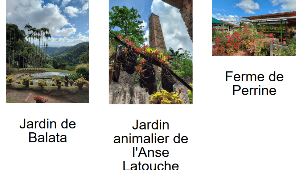 trois nouveaux jardins remarquables.PNG