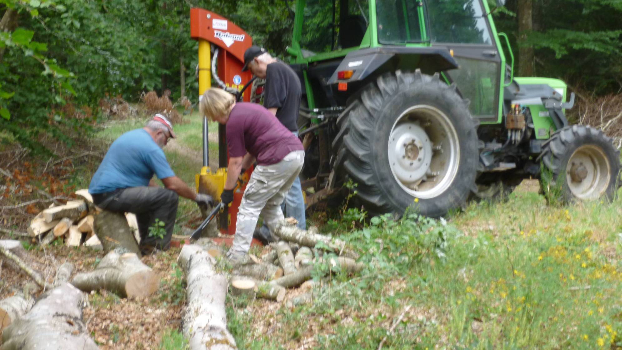 Deux hommes et une femme d'âge mûr scient un long et fin tronc d'arbre couché au sol, devant un tracteur, dans une forêt.