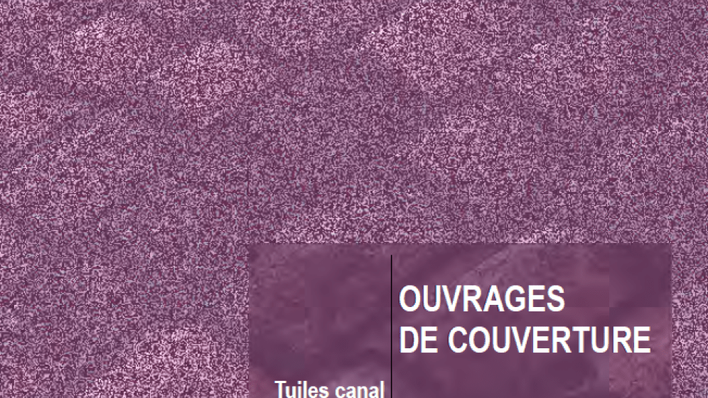 GuideMoaMoe_Couverture_TuilesCanal_20110801.png