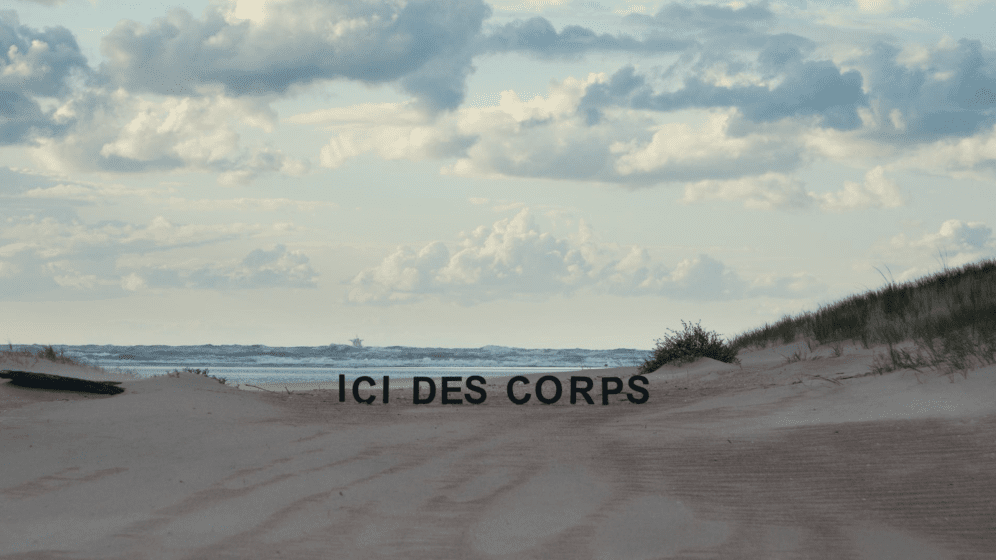 frank smith -ici des corps_.png