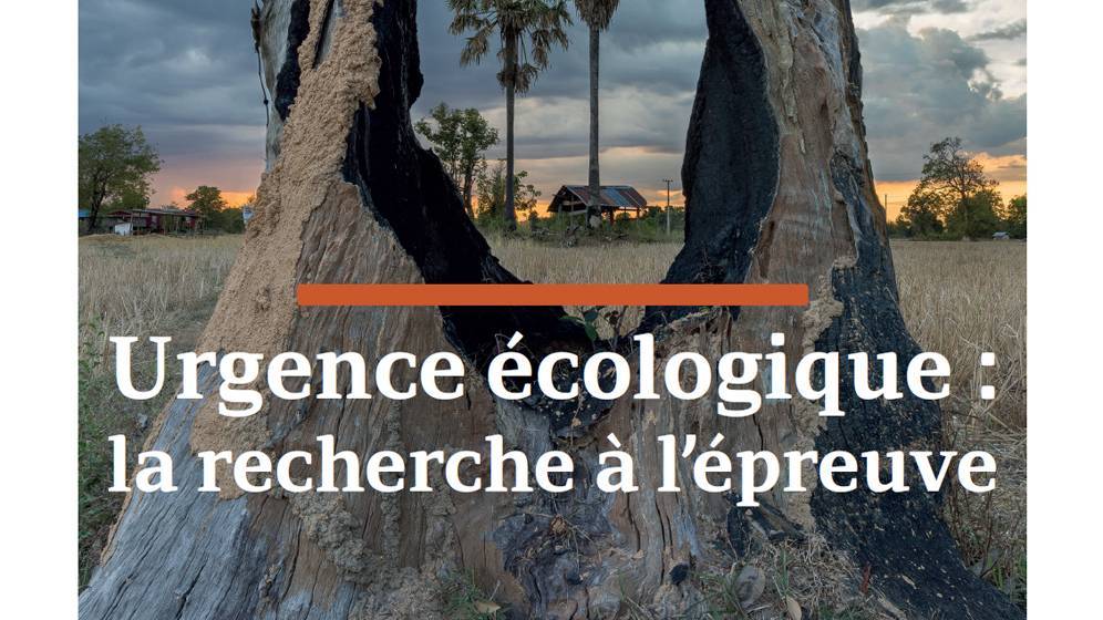 Culture-et-Recherche-146-couverture.jpg