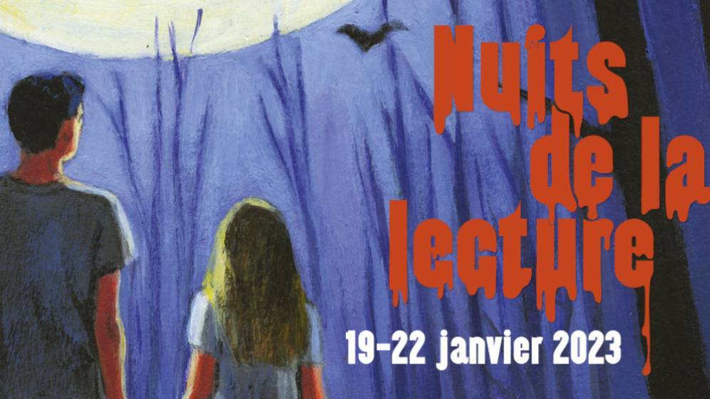 vignette_ndl.jpg