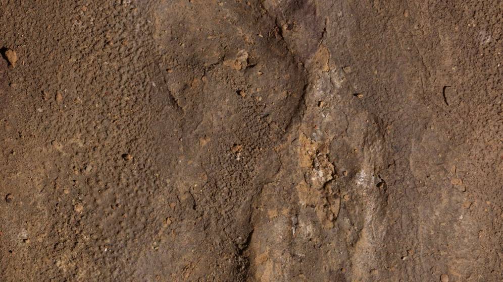 Empreinte-de-pied-paleolithique-Aldene-photo-Drac-Occitanie.jpg