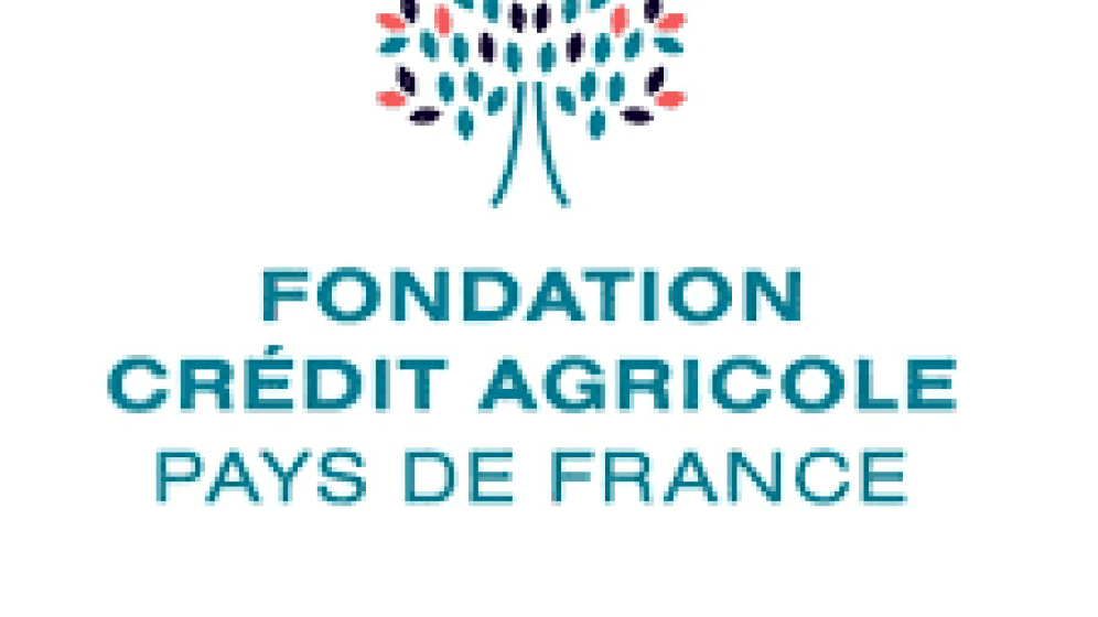 fondation pays de france.png