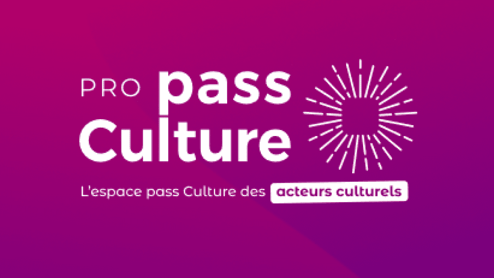Pass culture pro 2.png
