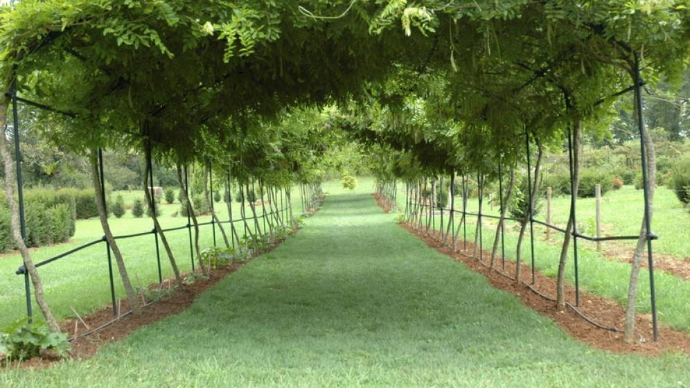 Jardins du château du Colombier, Salles-la-Source (Aveyron)