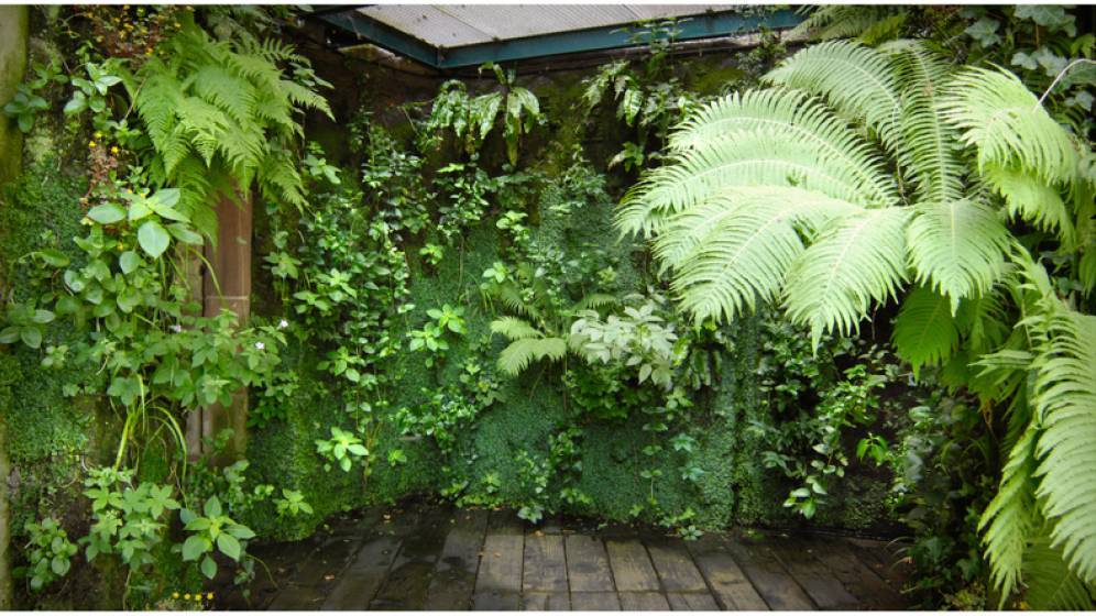 Jardin des Paradis, Cordes-sur-Ciel - Tarn