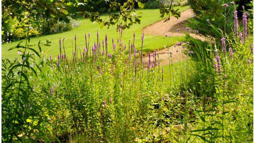 Les jardins de Quercy, Verfeil - Tarn-et-Garonne