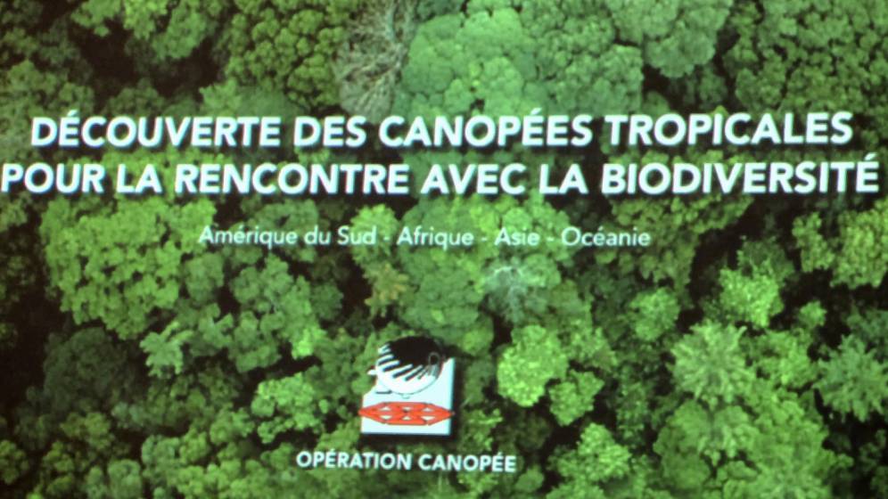 Opération Canopée