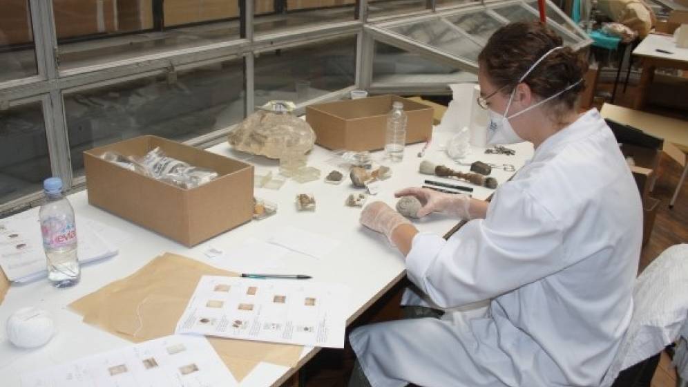 Equipe scientifique au travail © Muséum d’Histoire naturelle de Bordeaux/Hana Goodall