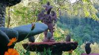 Jardin Sambucs
