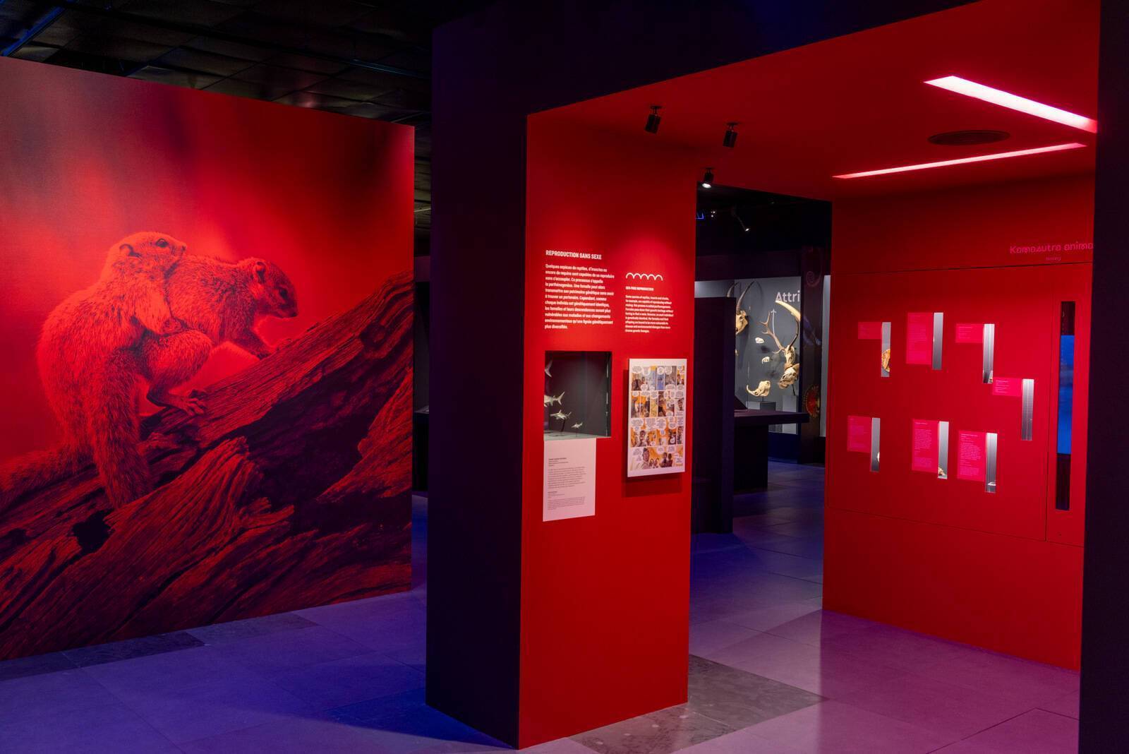 « Sex-Appeal, la scandaleuse vie de la nature », la nouvelle exposition ...