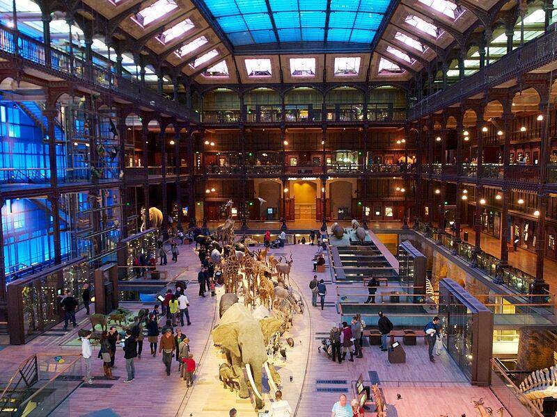 Musee Fr Les collections des musées de France | Ministère de la Culture