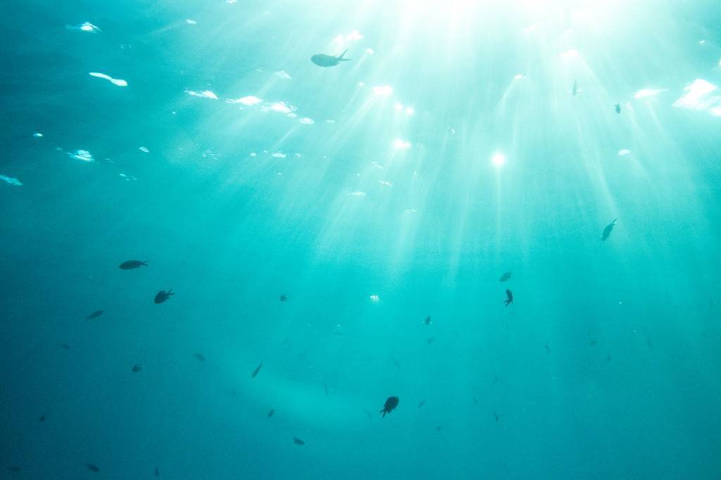 Sommet, événements... l'océan au cœur des défis de demain | Ministère de la Culture