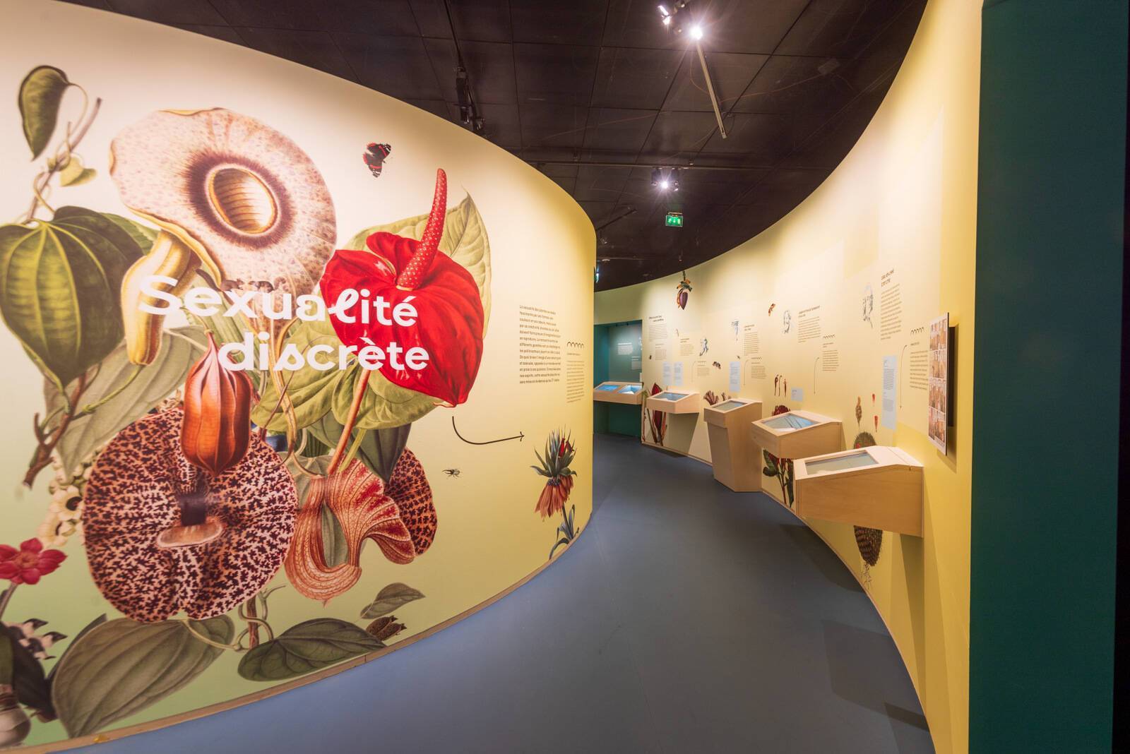 « Sex-Appeal, la scandaleuse vie de la nature », la nouvelle exposition ...
