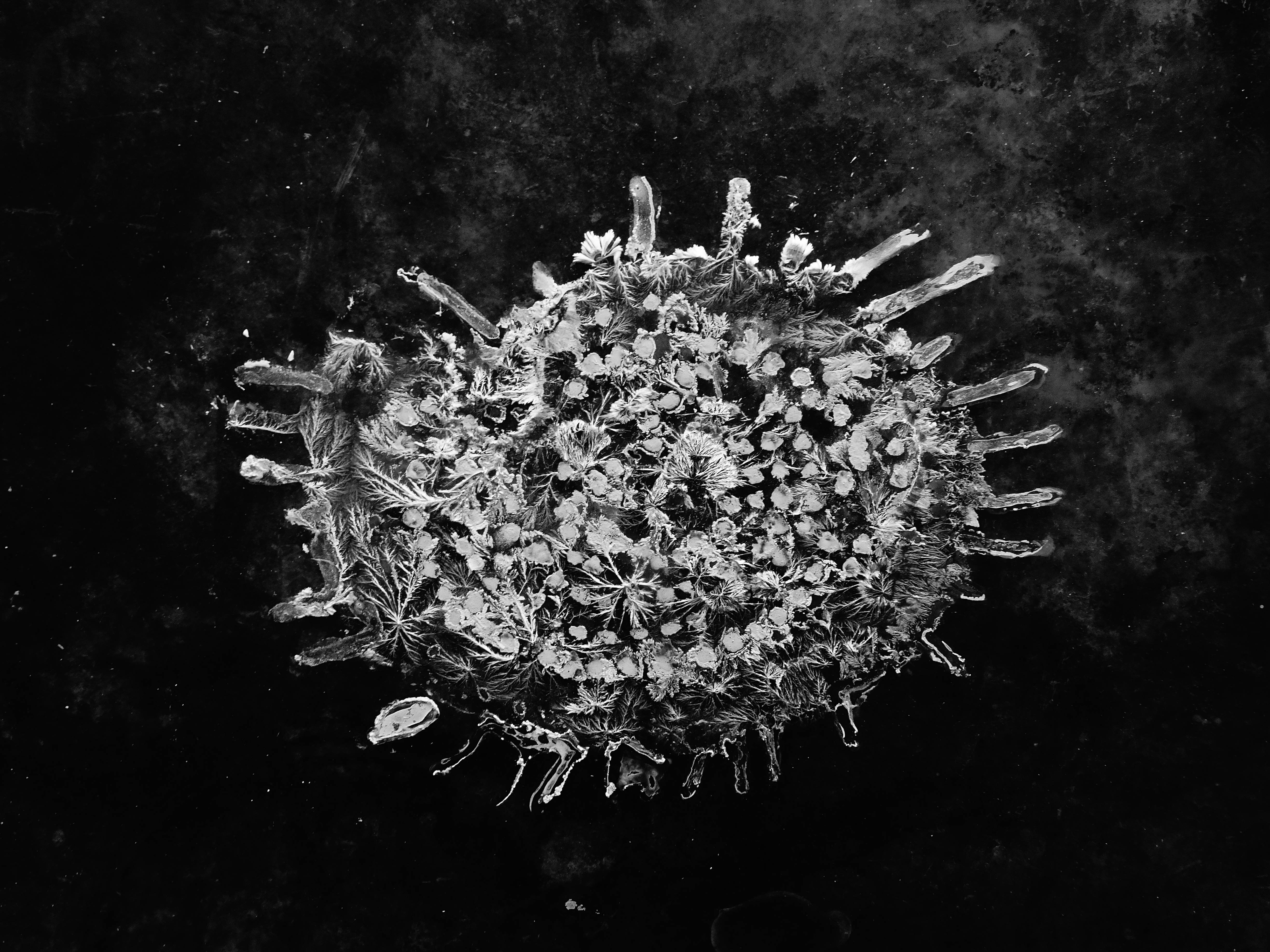 Les résidences vertes, la transition écologique côté création | Ministère de la Culture