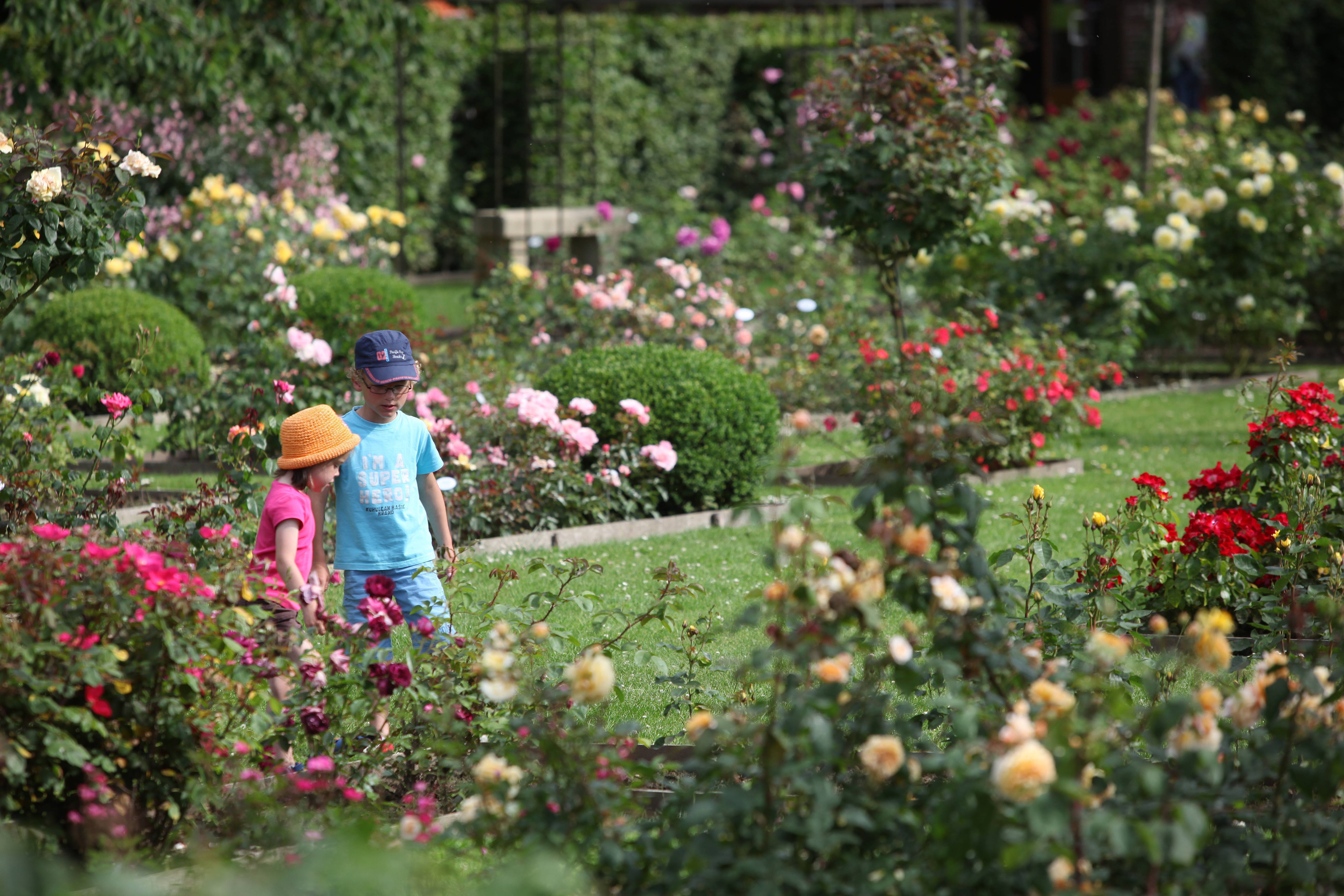 Rendez-vous aux jardins 2025 : en Hauts-de-France, les jardiniers « participent à l’équilibre délicat entre nature et culture » | Ministère de la Culture