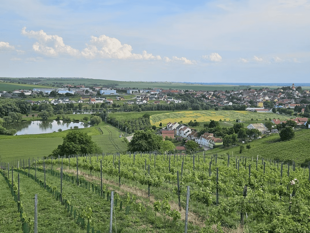 Romane rdt porno j'ai pu profiter pendant une bonne heure