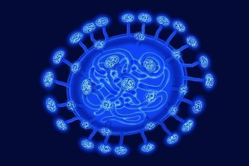 Coronavirus Les Mots Pour Le Dire