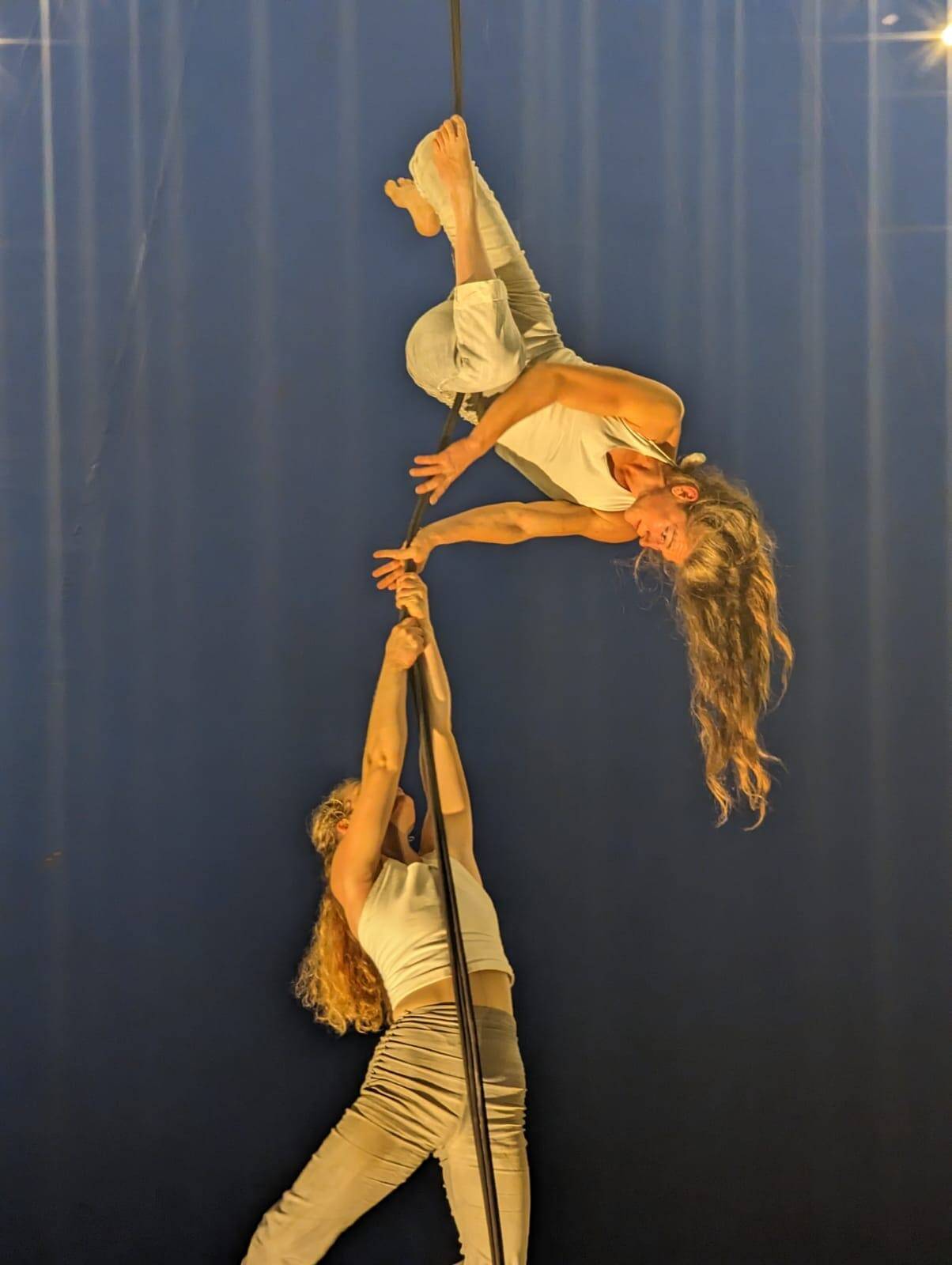 Art du cirque : le chapiteau, un outil d'avenir ? | Ministère de la Culture