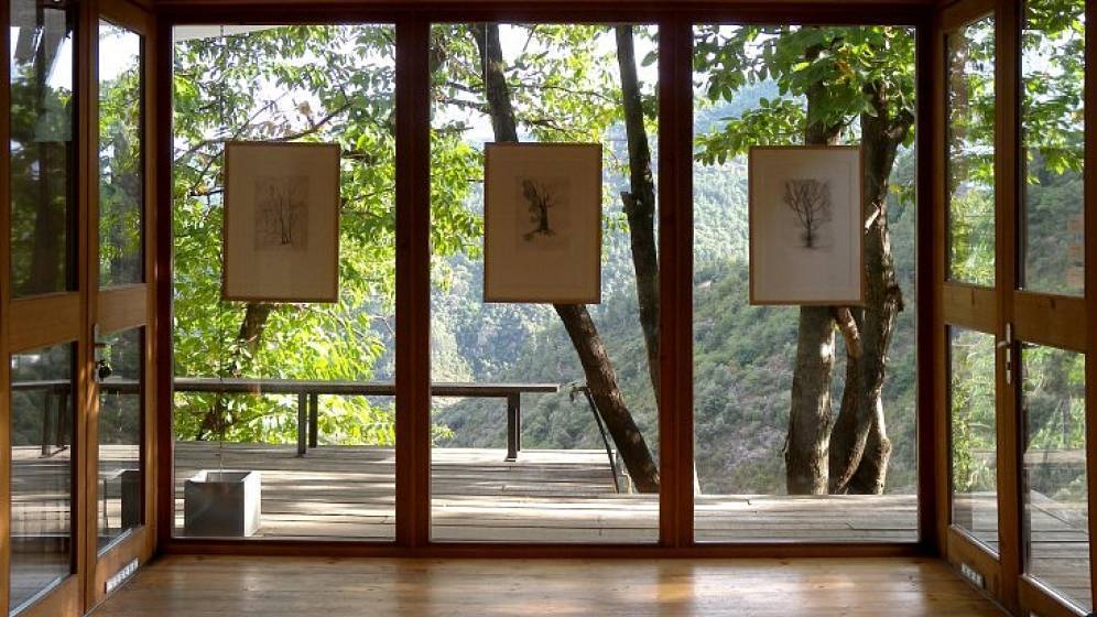 Écoresponsabilité, ruralité: des chantiers prometteurs pour le monde des musées | Ministère de la Culture