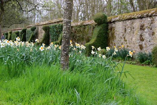 Garden Of The Chateau De Saint Jean De Beauregard 91